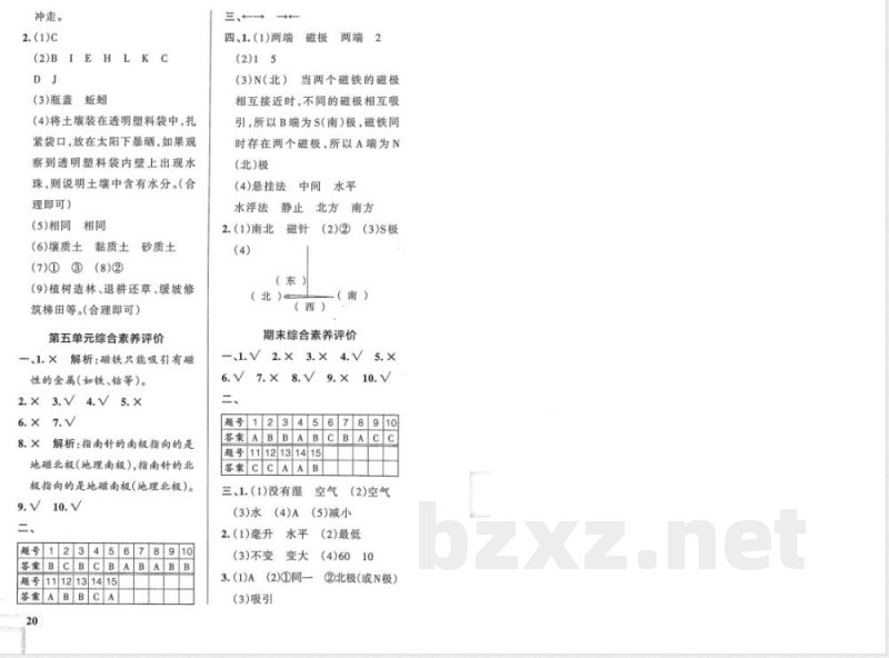 湘科版（26年）三年级科学上册期末综合素养评价试题（含答案）