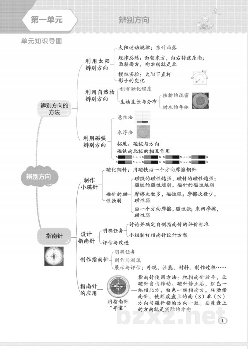 2026年教科版三年级下册科学课堂同步训练