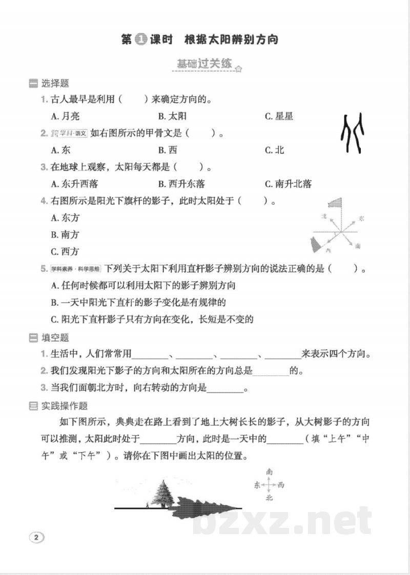2026年教科版三年级下册科学课堂同步训练