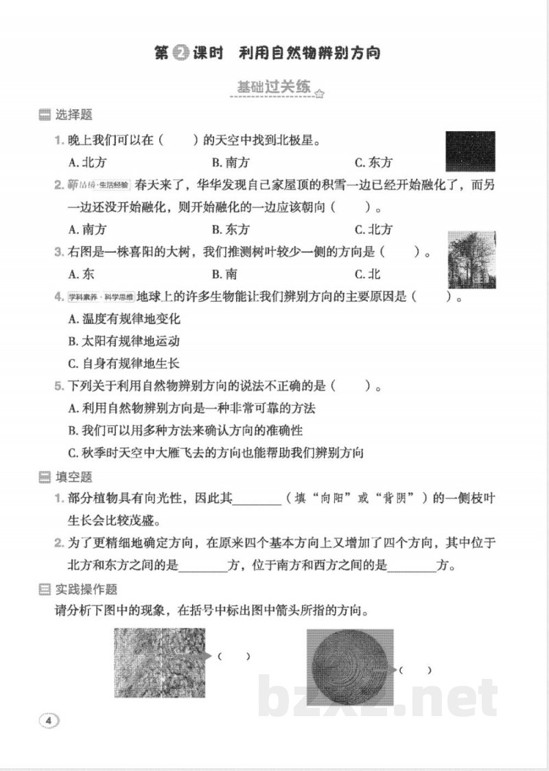 2026年教科版三年级下册科学课堂同步训练