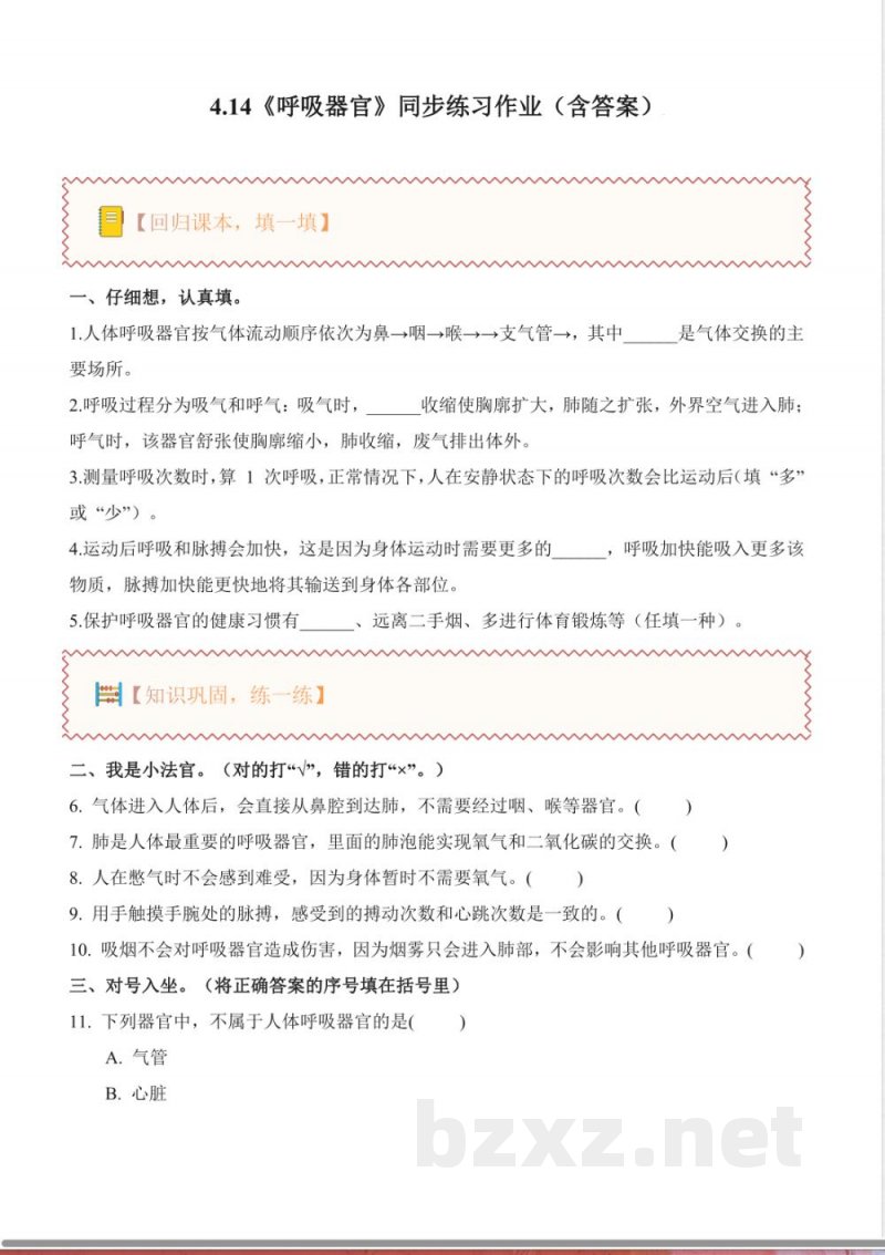 4.14 呼吸器官（分层作业）科学人教鄂教版三年级上册2025