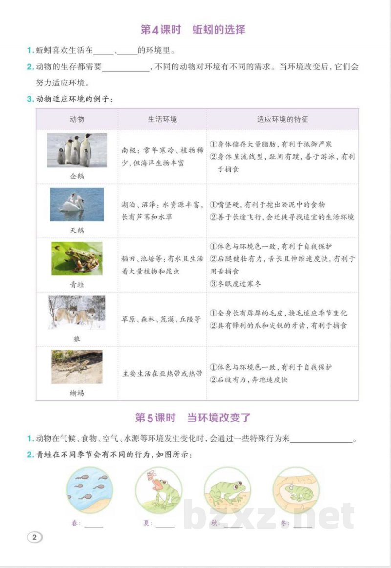 2026年教科版五年级下册科学期末复习知识点自测单
