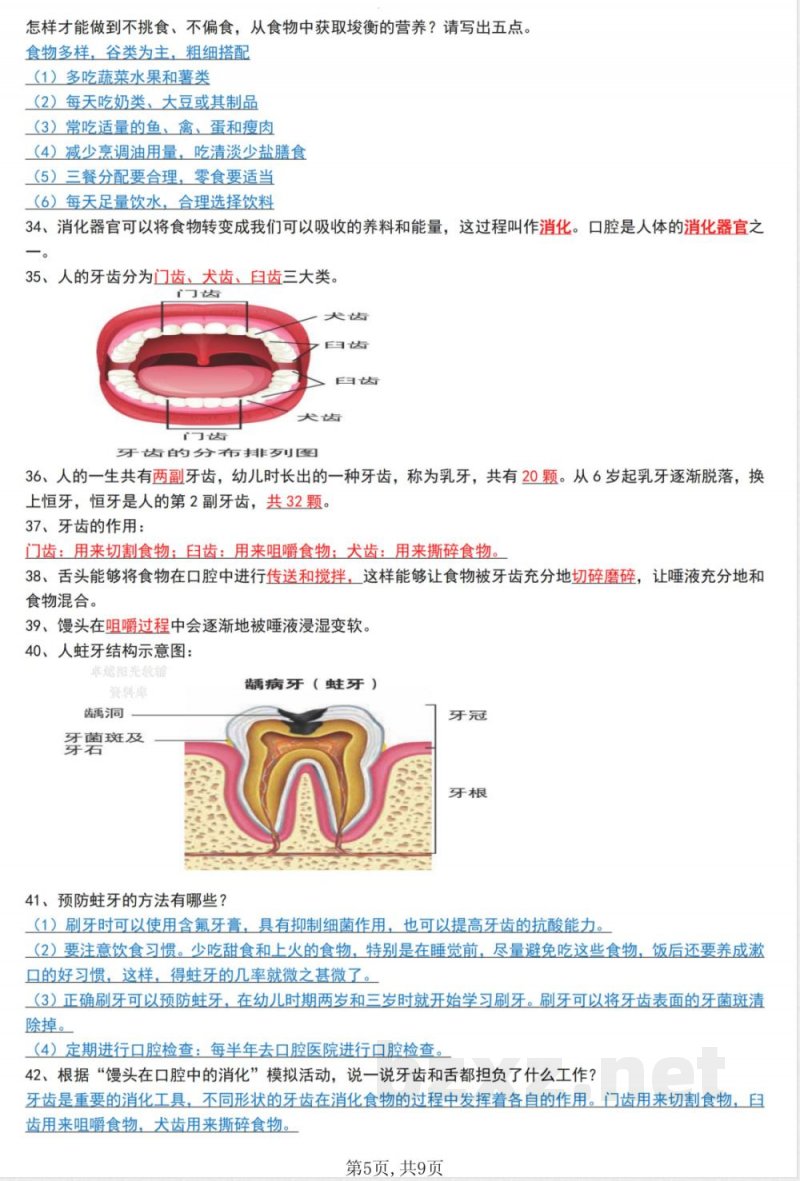 四年级上册科学知识点汇总教科版 四年级上册科学知识点汇总教科版