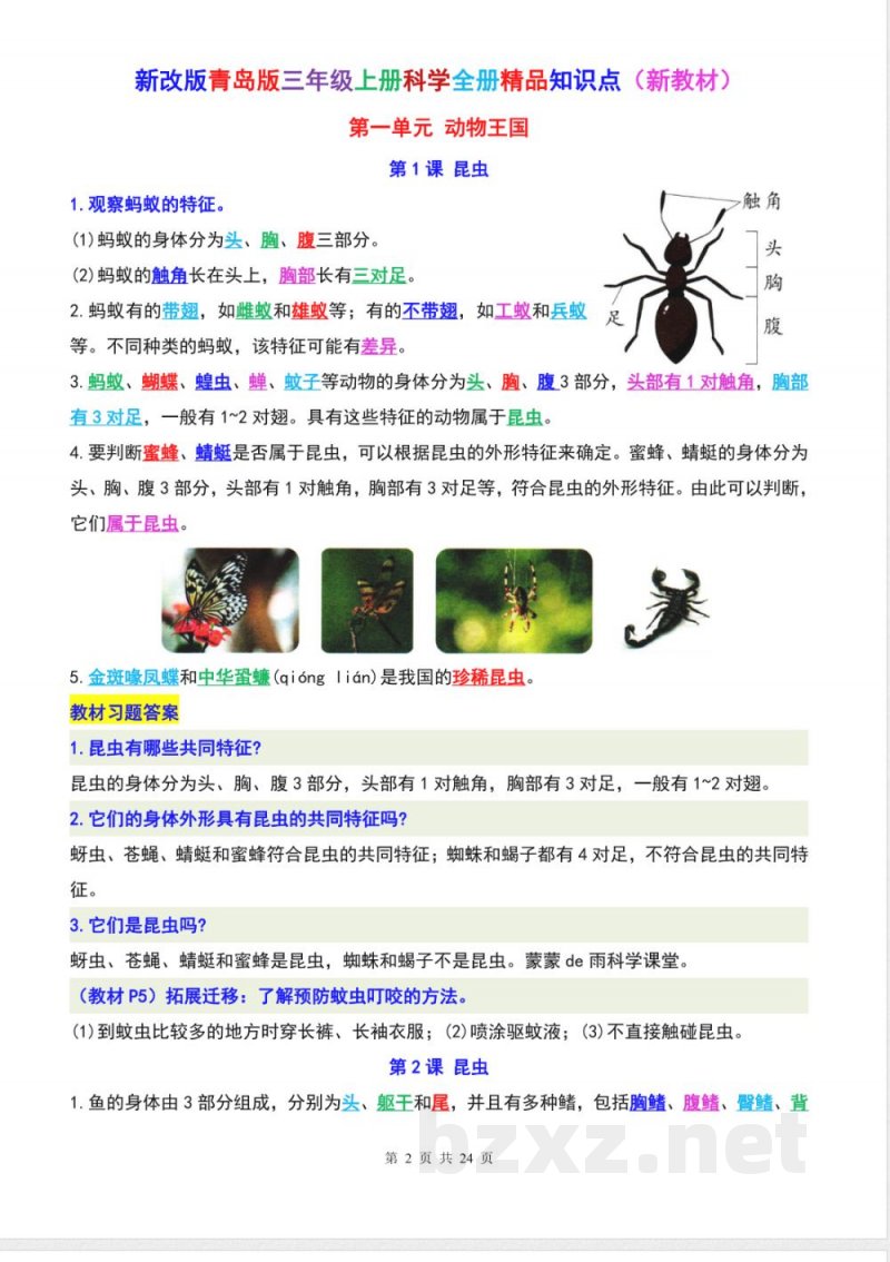 新青岛版六三制科学三年级上册全册知识点(新教材) 新青岛版六三制科学三年级上册全册知识点(新教材)
