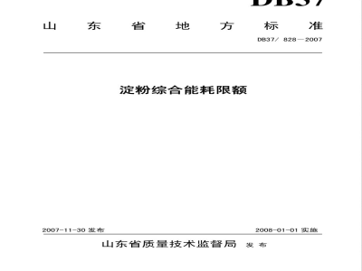 DB37/828-2007淀粉综合能耗限额