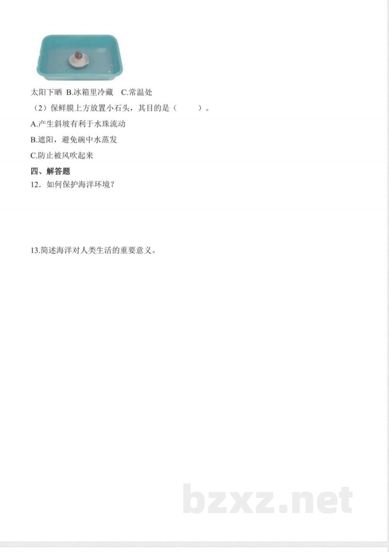 3.11 海洋(分层作业)科学苏教版三年级上册2025 3.11 海洋(分层作业)科学苏教版三年级上册2025