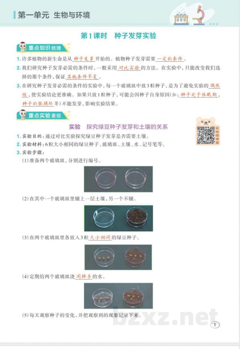 2026年教科版五年级下册科学期末复习课堂重点笔记
