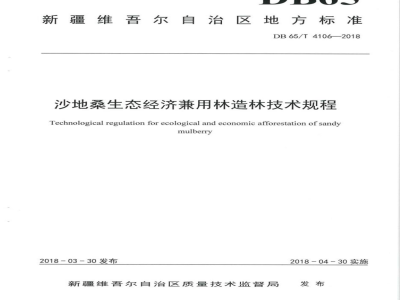 DB65/T 4106-2018沙地桑生态经济兼用林造林技术规程
