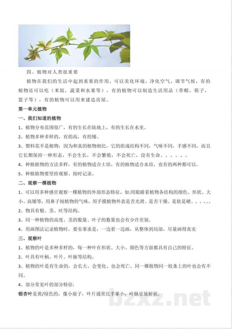 科教版一年级上册科学全册知识点梳理归纳汇总 科教版一年级上册科学全册知识点梳理归纳汇总
