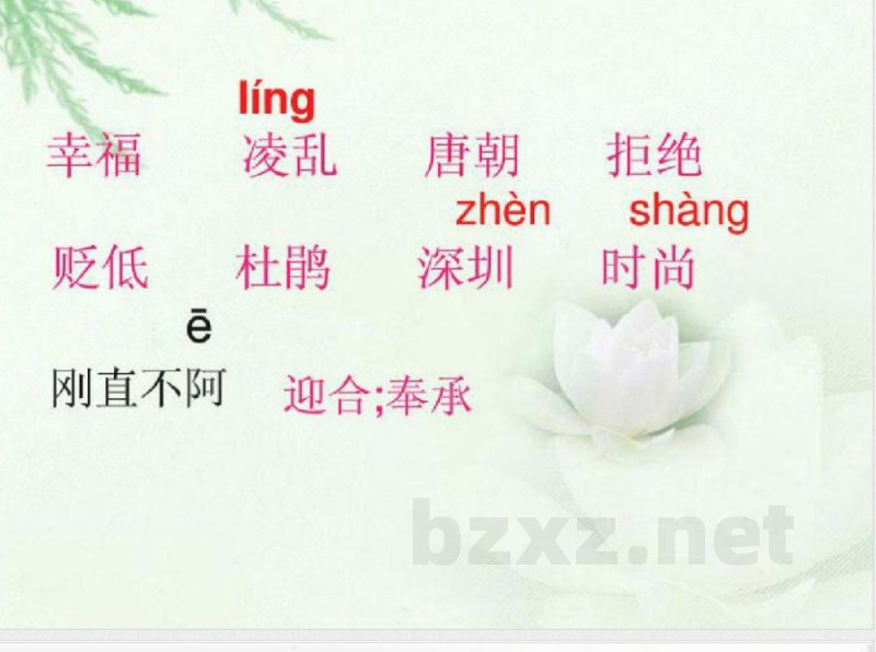 六年级语文上册中国的花课件3鄂教版 六年级语文上册中国的花课件3鄂教版