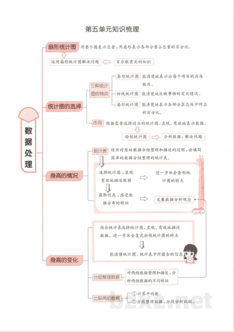 北师大六年级上册数学思维导图