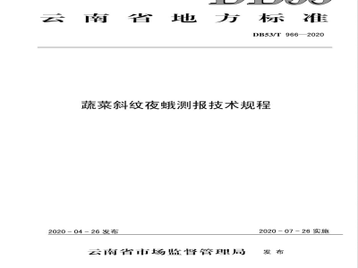 DB53/T 966-2020蔬菜斜纹夜蛾测报技术规程