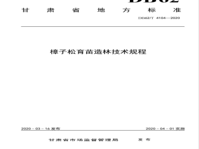 DB62/T 4104-2020樟子松育苗造林技术规程