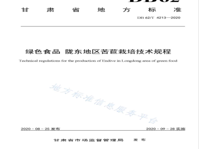 DB62/T 4213-2020绿色食品 陇东地区苦苣栽培技术规程