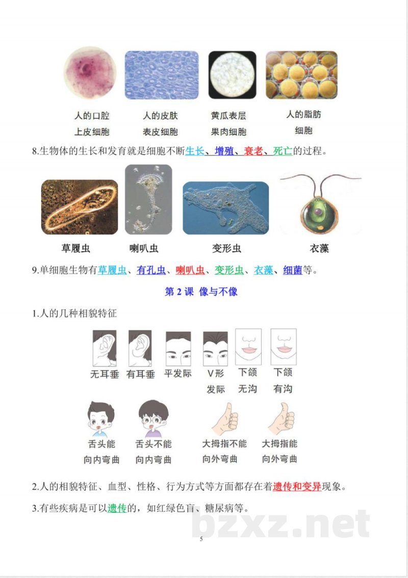 新青岛版(六三制)六年级上册科学全册知识点(新修改) 新青岛版(六三制)六年级上册科学全册知识点(新修改)
