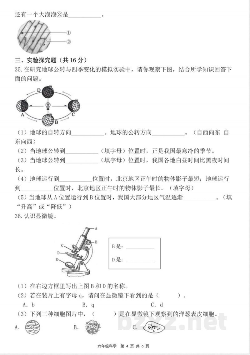 2026年教科版六年级科学上册期中素养测评试卷 (6) 2026年教科版六年级科学上册期中素养测评试卷 (6)