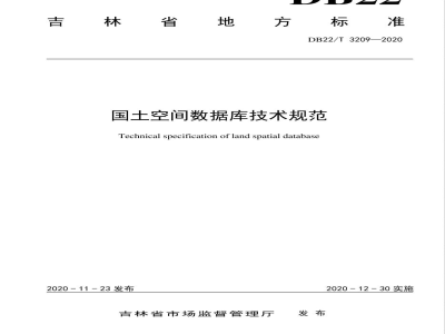 DB22/T 3209-2020国土空间数据库技术规范