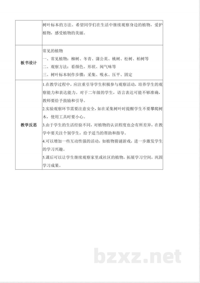 2025青岛版二年级科学上册全册核心素养教学设计教案 2025青岛版二年级科学上册全册核心素养教学设计教案