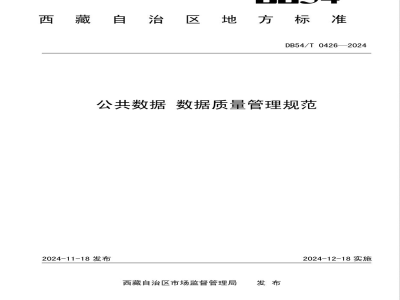 DB54/T 0426-2024公共数据 数据质量管理规范
