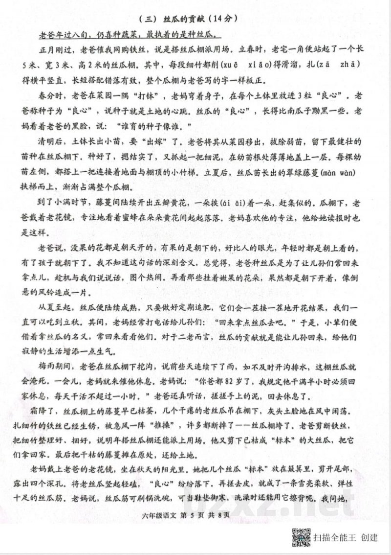 六年级语文期中练习