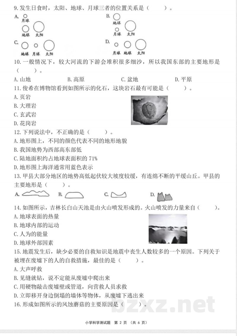 教科版科学五年级上册期中检测试卷 (4)