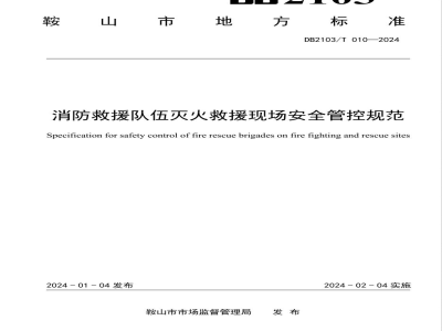 DB2103/T 010-2024消防救援队伍灭火救援现场安全管控规范