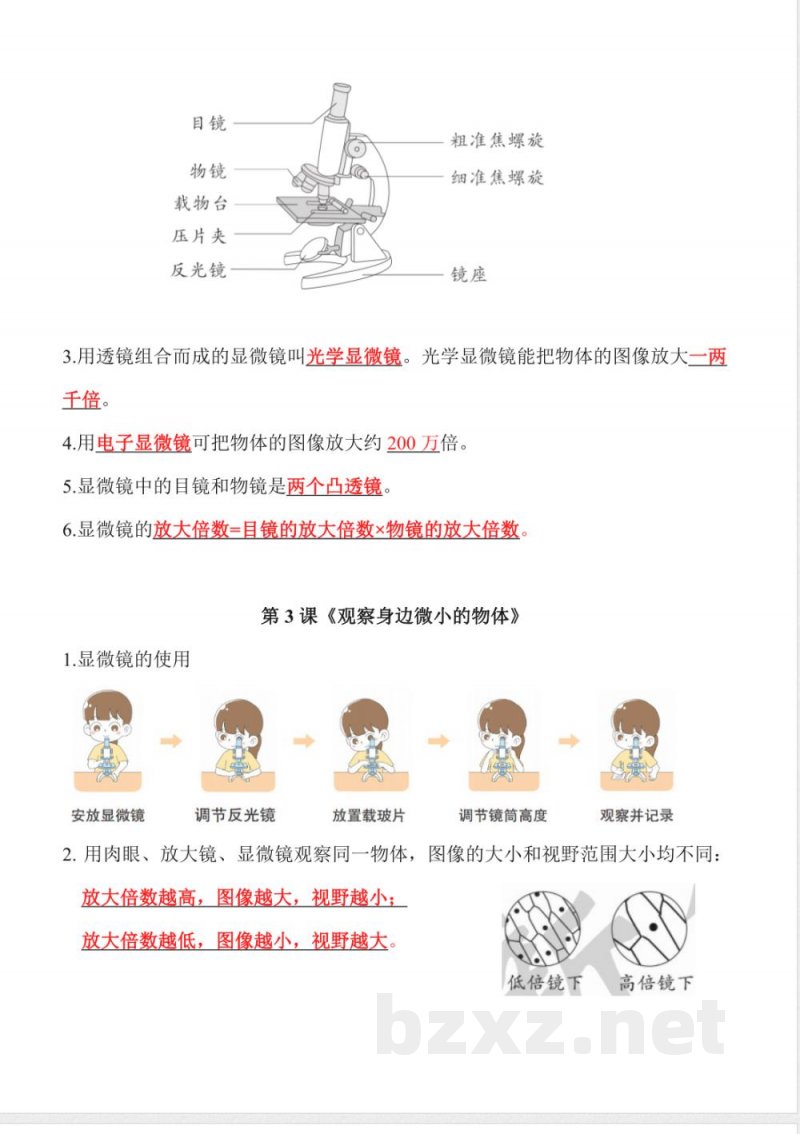 第一单元 微小世界(知识清单)科学教科版六年级上册 第一单元 微小世界(知识清单)科学教科版六年级上册