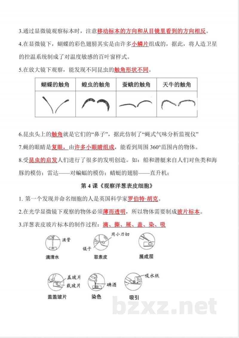 第一单元 微小世界(知识清单)科学教科版六年级上册 第一单元 微小世界(知识清单)科学教科版六年级上册