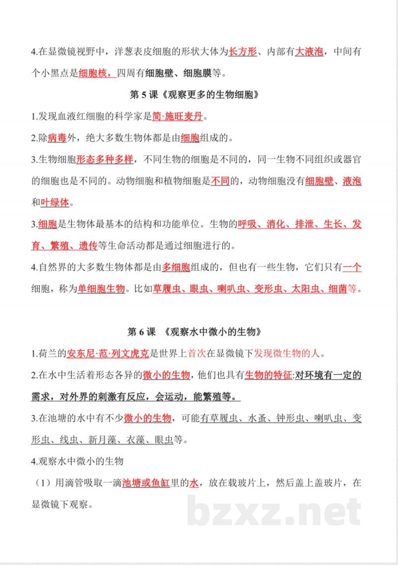 第一单元 微小世界(知识清单)科学教科版六年级上册 第一单元 微小世界(知识清单)科学教科版六年级上册