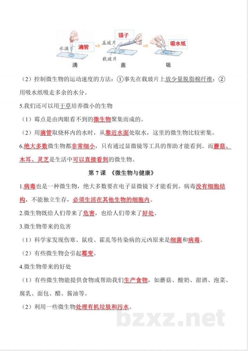 第一单元 微小世界(知识清单)科学教科版六年级上册 第一单元 微小世界(知识清单)科学教科版六年级上册