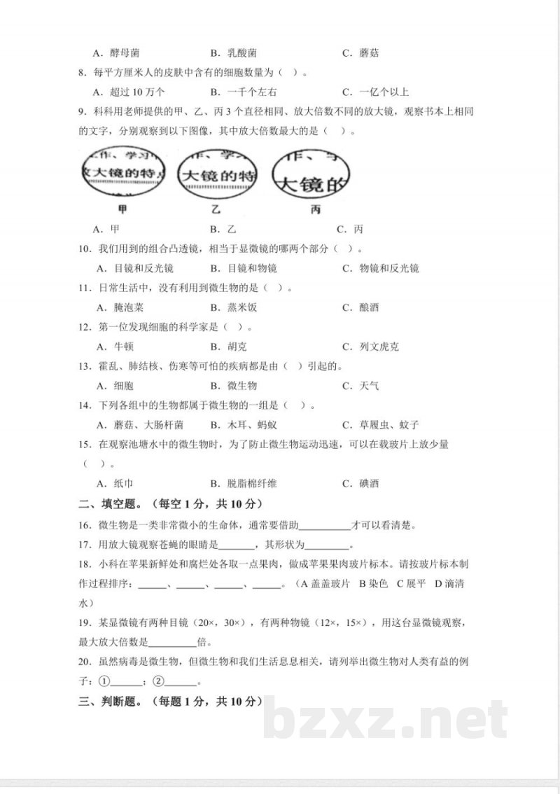 第一单元 微小世界(单元测试)科学教科版六年级上册 A4版 第一单元 微小世界(单元测试)科学教科版六年级上册 A4版