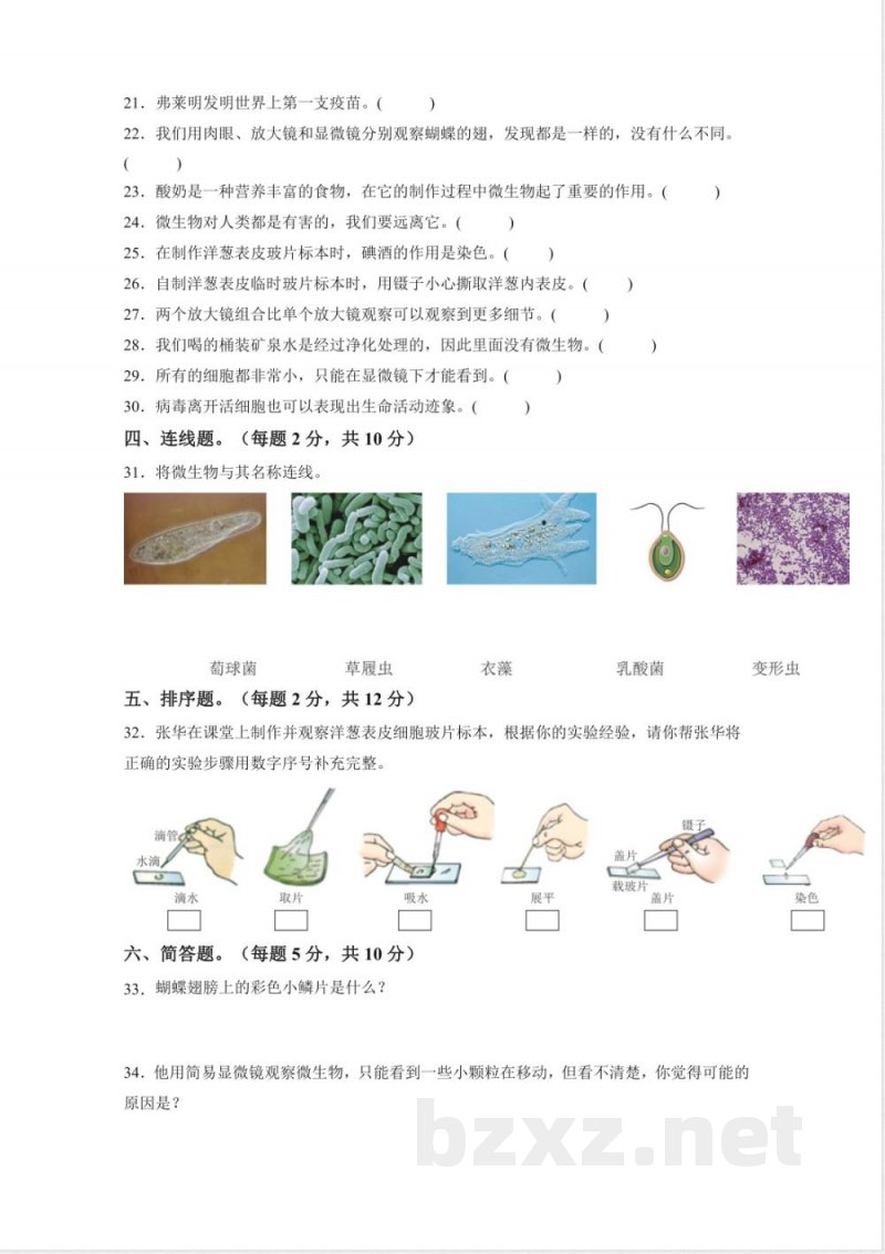 第一单元 微小世界(单元测试)科学教科版六年级上册 A4版 第一单元 微小世界(单元测试)科学教科版六年级上册 A4版