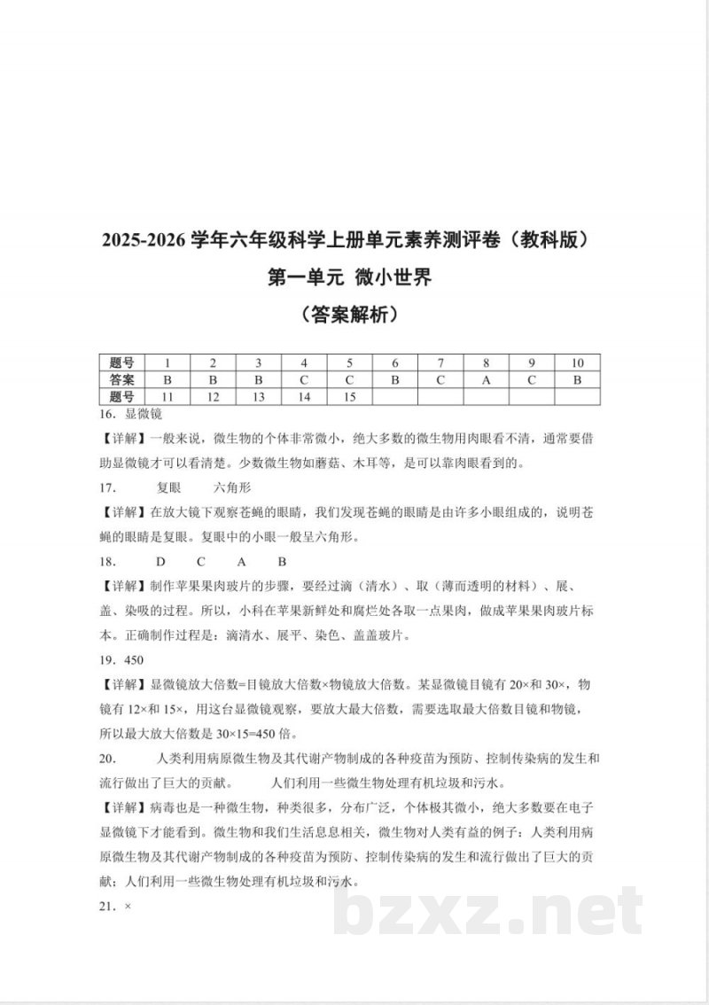 第一单元 微小世界(单元测试)科学教科版六年级上册 A4版 第一单元 微小世界(单元测试)科学教科版六年级上册 A4版