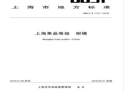 DB31/T 1131-2019上海果品等级 柑橘