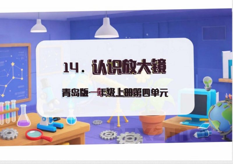 (青岛2024版)科学一年级上册4.14 认识放大镜 课件(新教材) (青岛2024版)科学一年级上册4.14 认识放大镜 课件(新教材)