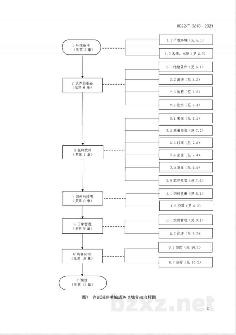 DB22/T 3610-2023兴凯湖翘嘴鲌成鱼池塘养殖技术规程 DB22/T 3610-2023兴凯湖翘嘴鲌成鱼池塘养殖技术规程