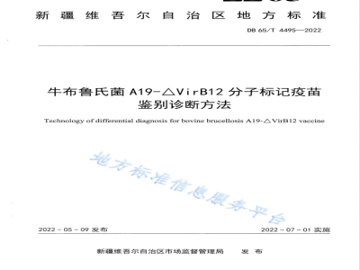 DB65/T 4495-2022牛布鲁氏菌A19-△VirB12分子标记疫苗鉴别诊断方法