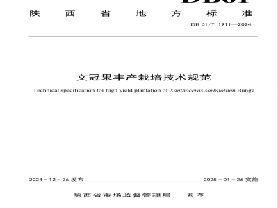 DB61/T 1911-2024文冠果丰产栽培技术规范