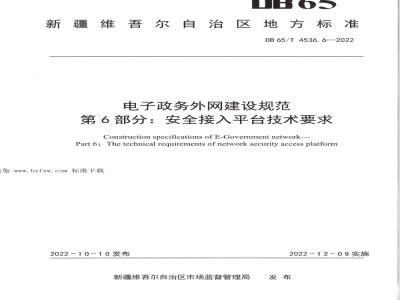 DB65/T 4536.6-2022电子政务外网建设规范第6部分：安全接入平台技术要求