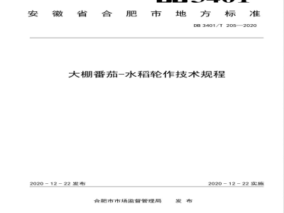 DB3401/T 205-2020大棚番茄-水稻轮作技术规程