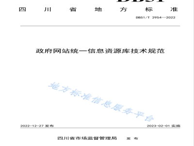 DB51/T 2954-2022政府网站统一信息资源库技术规范