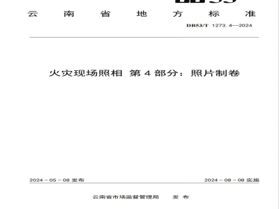 DB53/T 1273.4-2024火灾现场照相 第4部分：照片制卷
