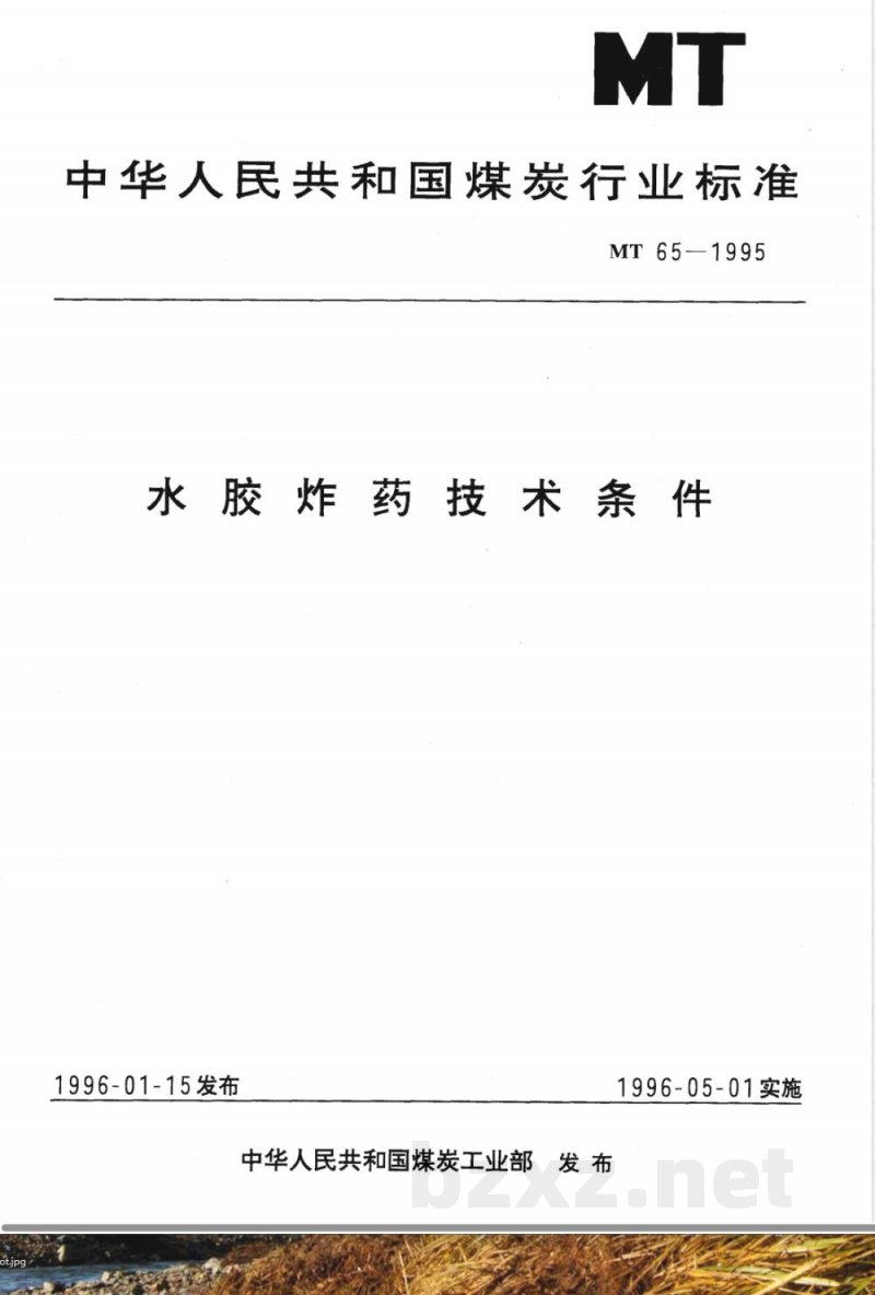 MT 65-2007 水胶炸药技术条件 MT 65-2007 水胶炸药技术条件
