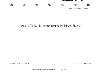 DB14/T 2902-2023黄花菜病虫害综合防控技术规程