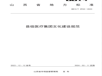 DB14/T 2934-2023县级医疗集团文化建设规范