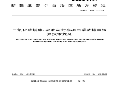 DB65/T 4891-2024二氧化碳捕集、驱油与封存项目碳减排量核算技术规范