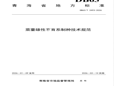 DB63/T 2493-2026菜薹雄性不育系制种技术规程