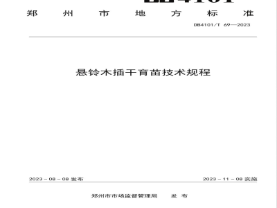 DB4101/T 69-2023悬铃木插干育苗技术规程