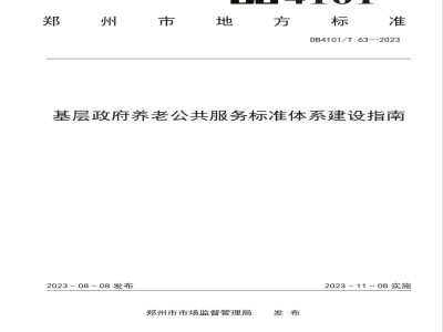 DB4101/T 63-2023基层政府养老公共服务标准体系建设指南