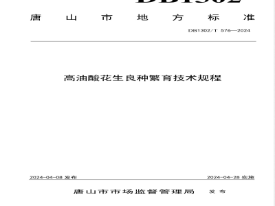 DB1302/T 576-2024高油酸花生良种繁育技术规程